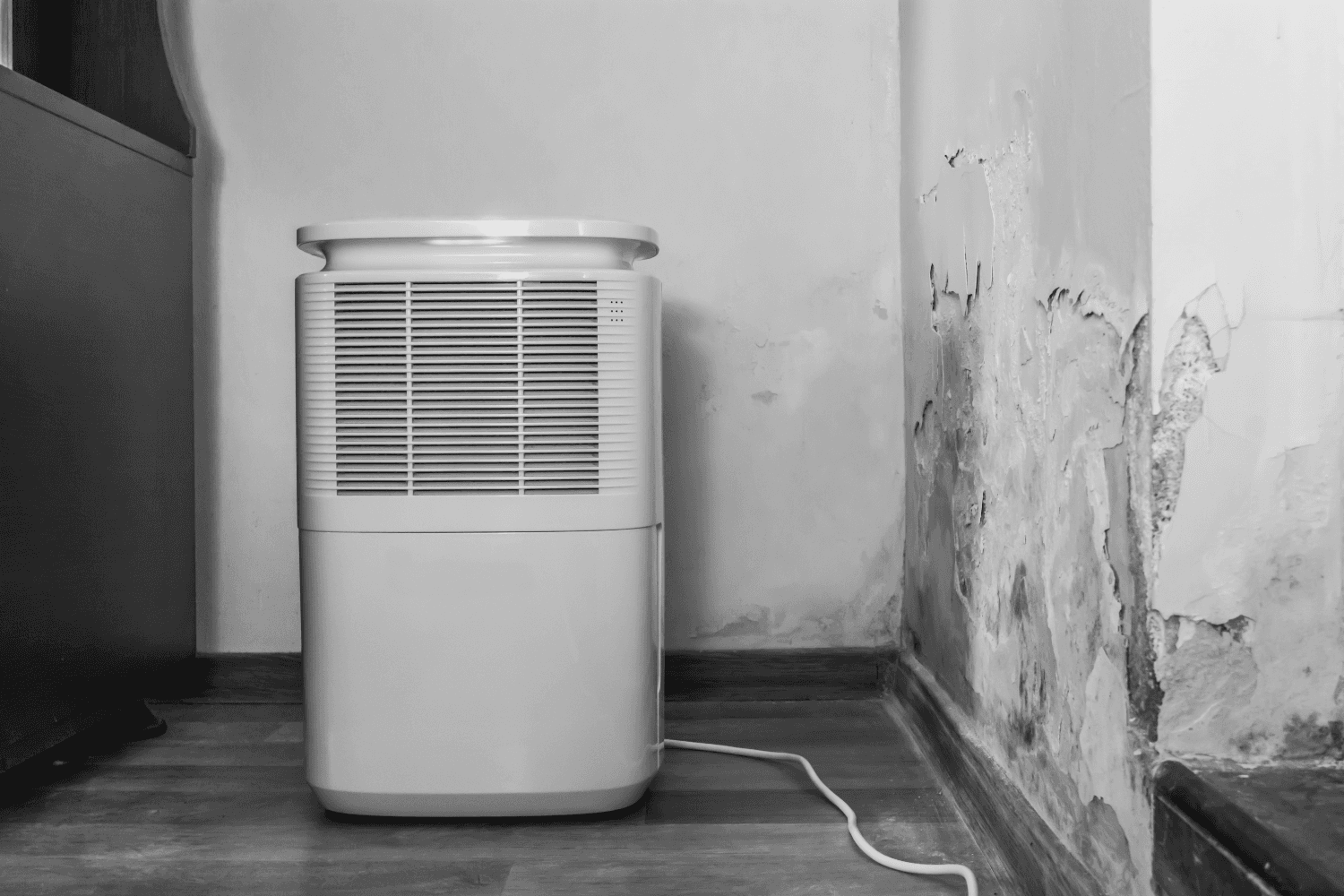 Basement Dehumidification Solutions to Prevent Mold &amp; Mildew