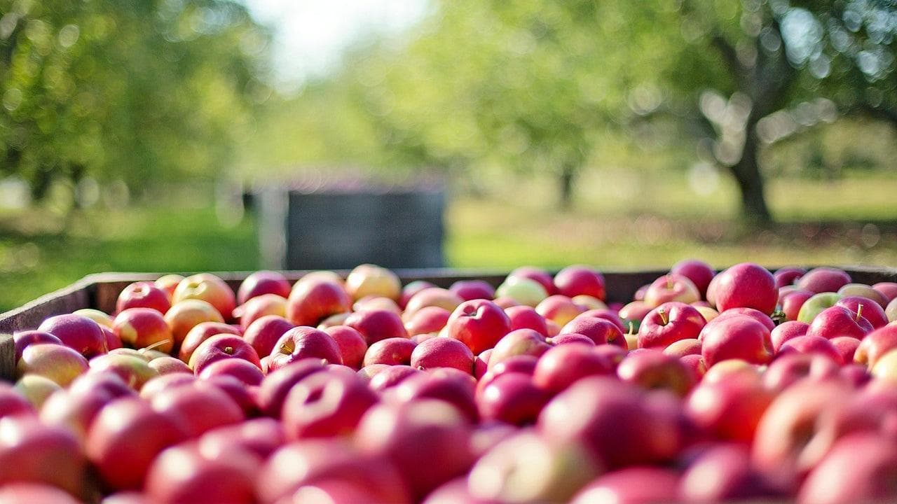 How Clean Eating Supports Natural Wellness