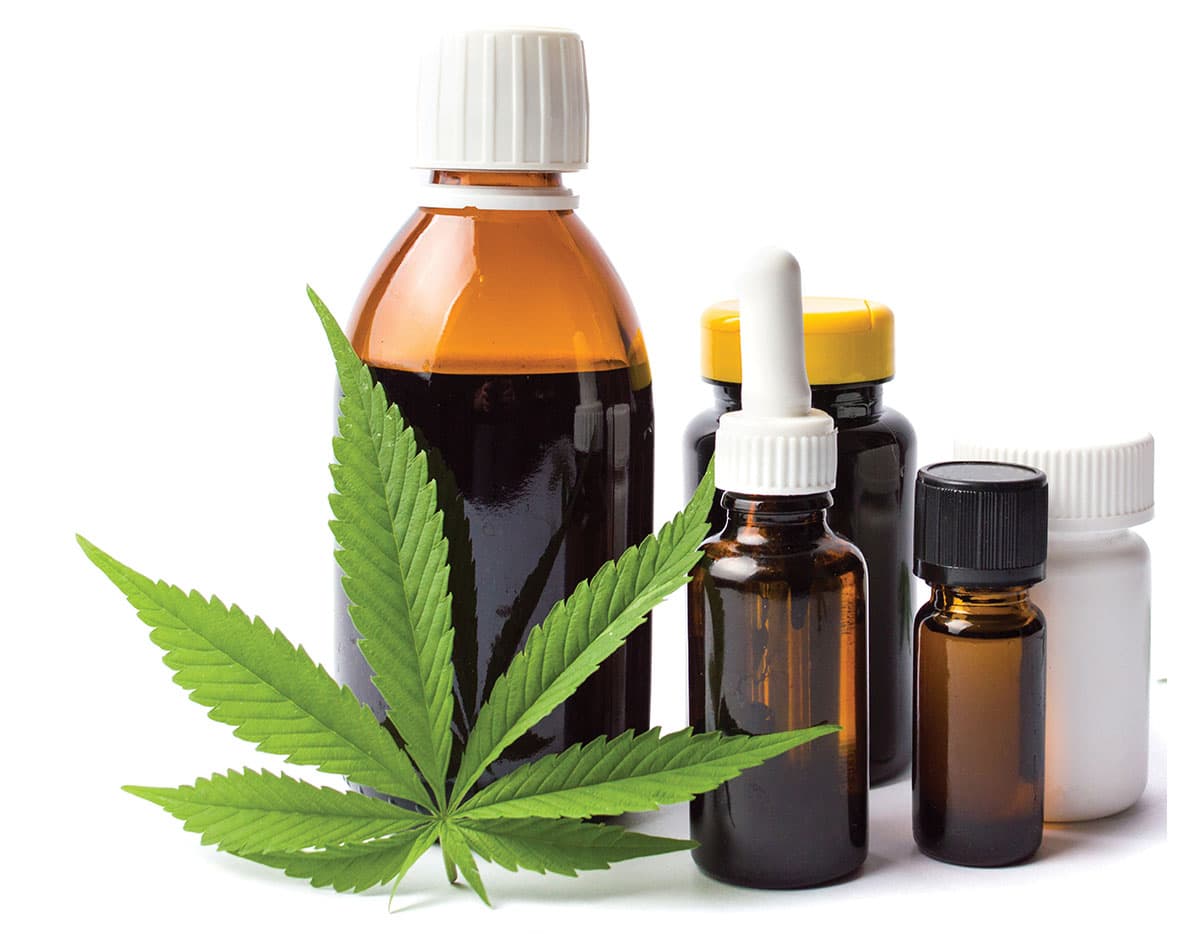 Bulk CBD Edibles with Premium Ingredients