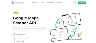 Scale Faster with an Automated Google Maps Scraping Service