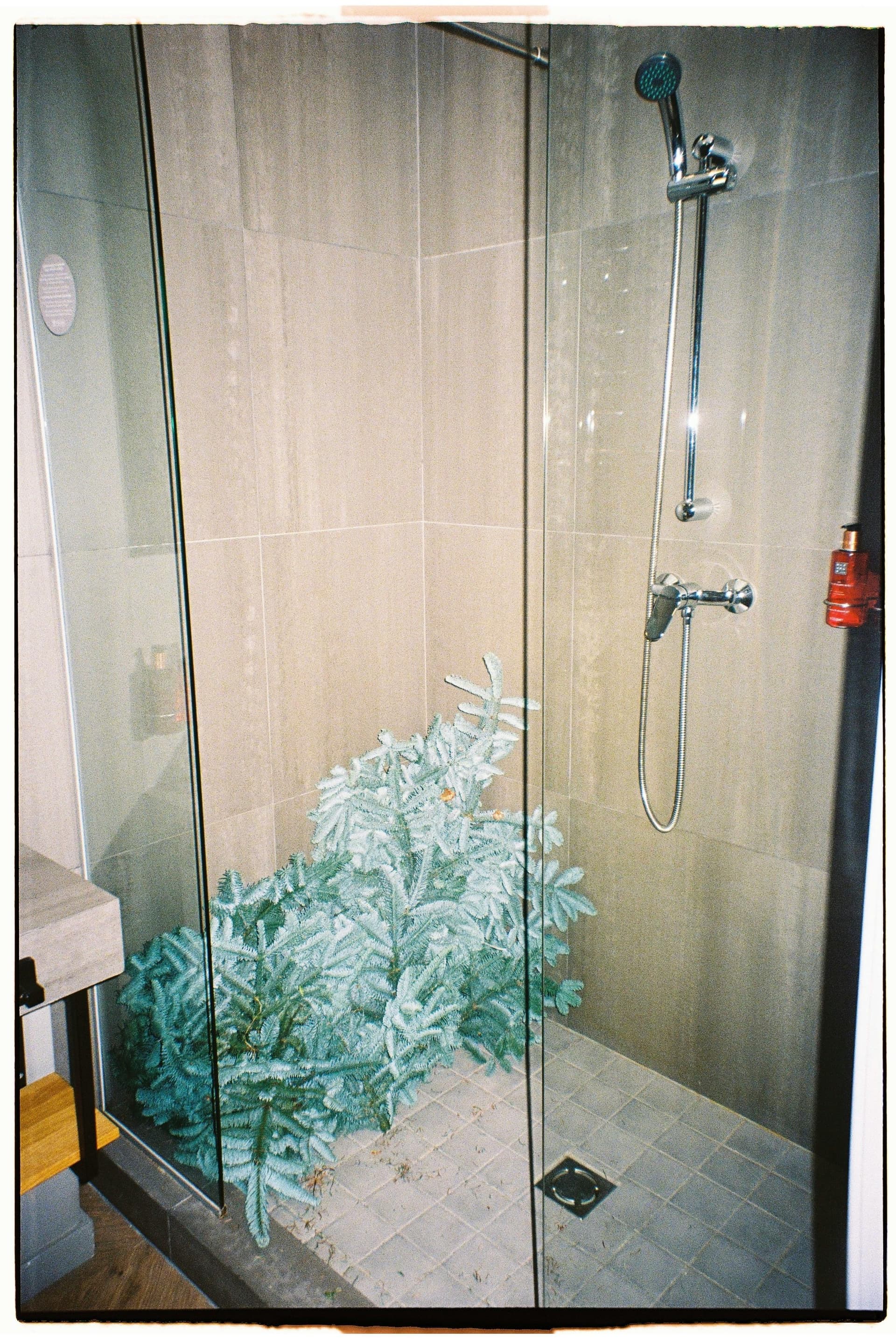 Elegant Showers Australia Modern Bathroom Renovation Experts