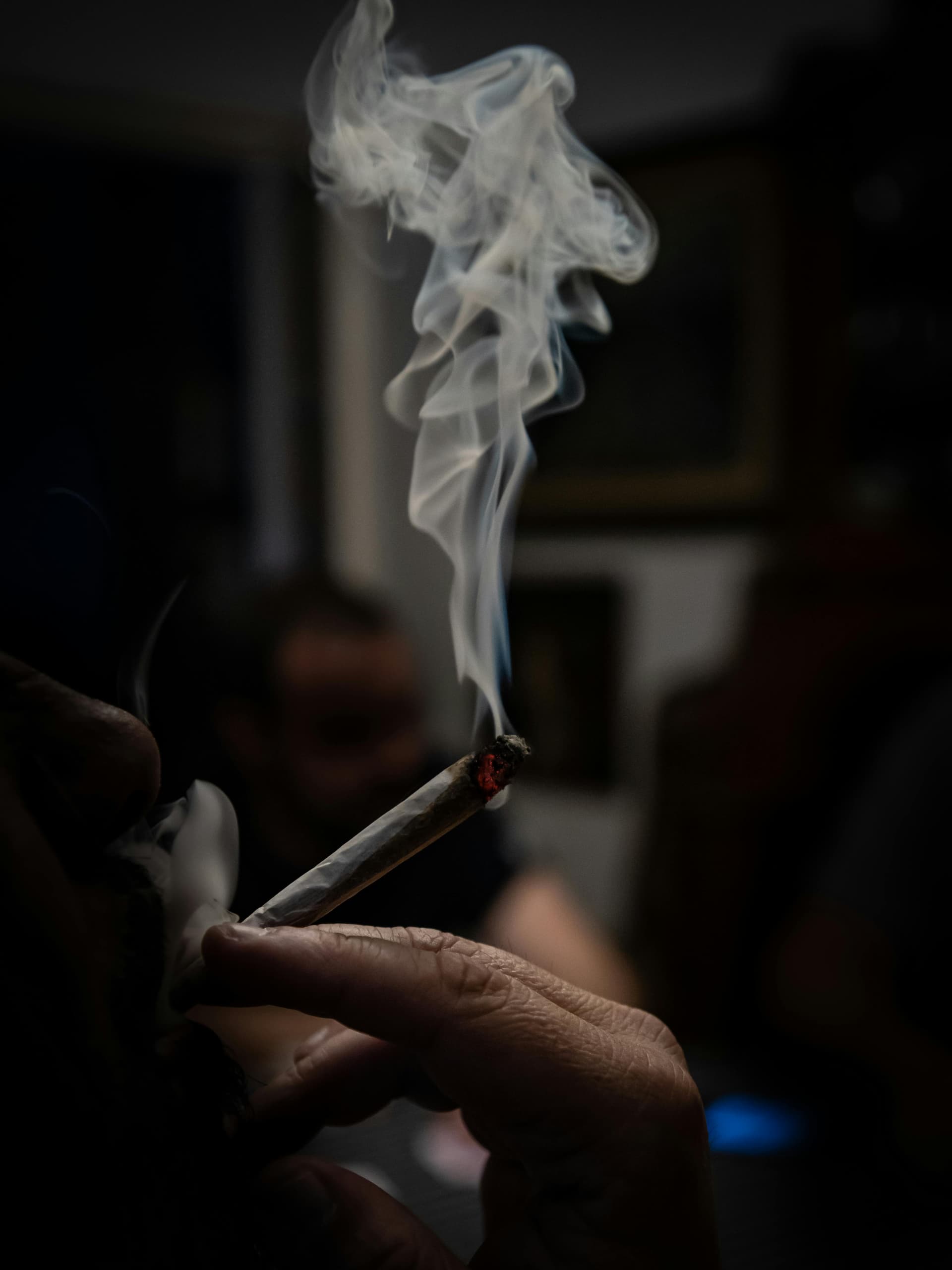 Marlboro Vista Forest Mist – Fresh Stock Ready at Cigarette Store
