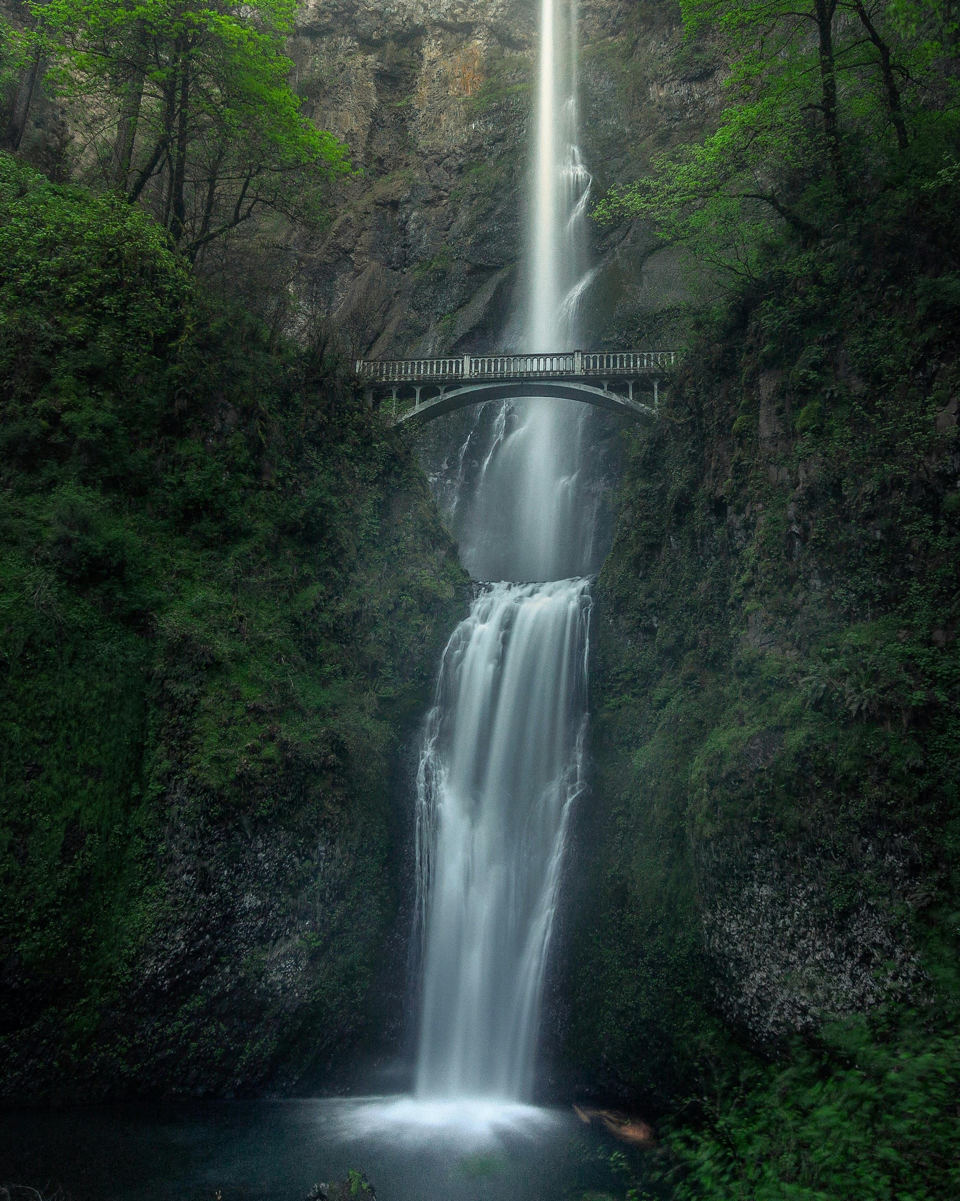 Waterfall in Oregon: Tips, Tours, and Shuttle Access