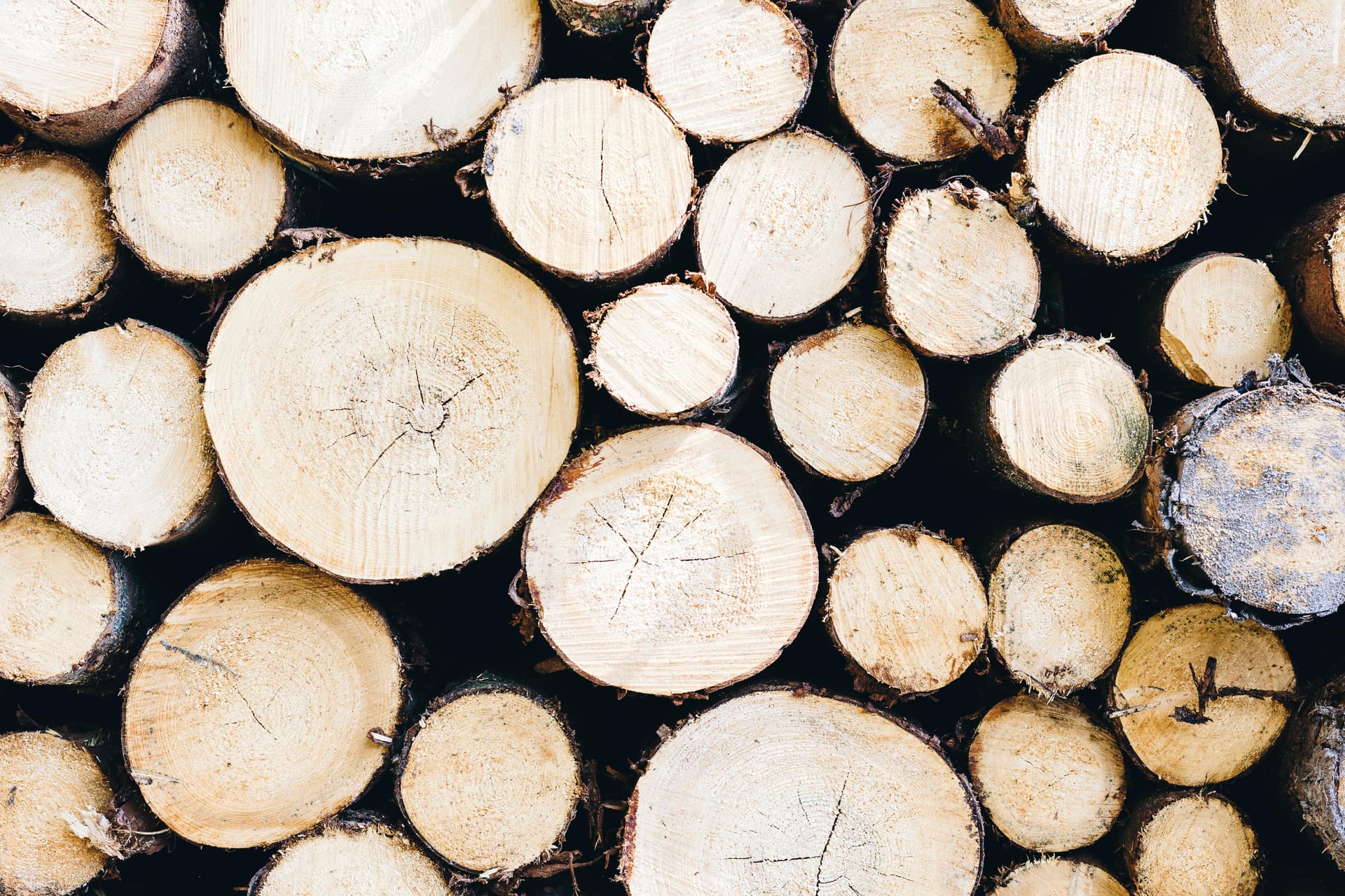 Premium Wood Briquettes Germany: Efficient and Clean Burning Fuel