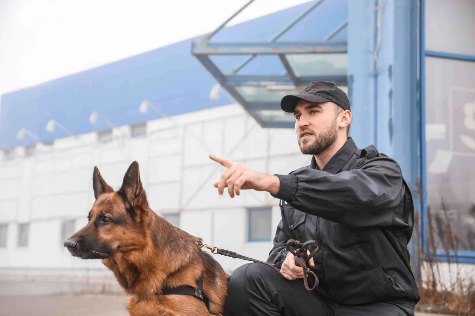 Security Dog Services in Liverpool for Advanced Property Protection