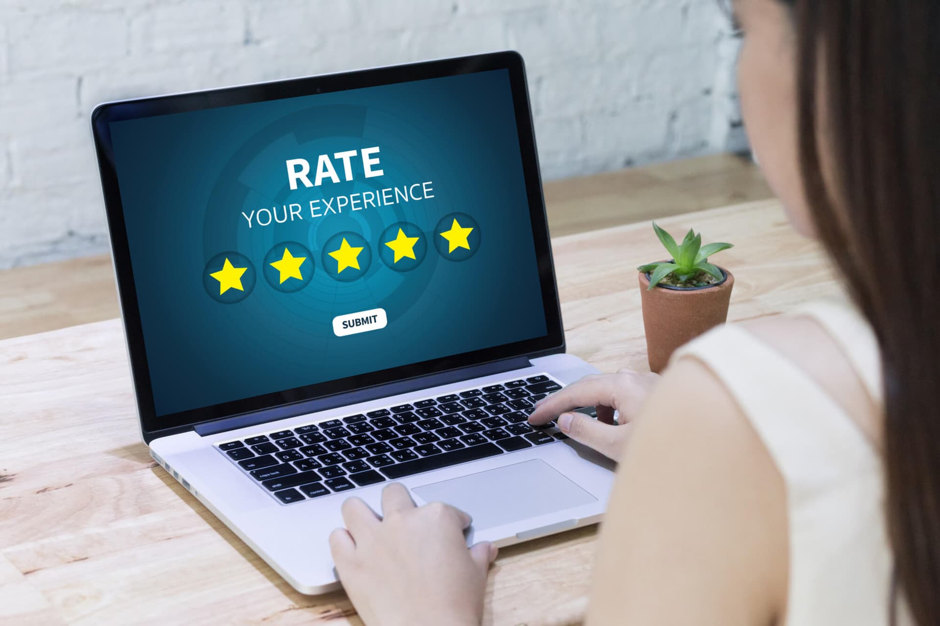 Product Reviews