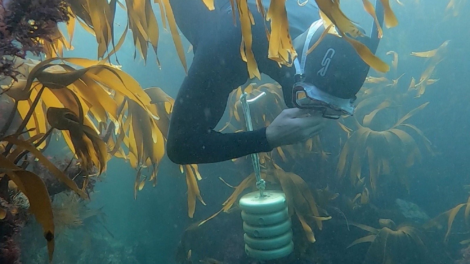 Private Charters for Boat Diving Northern Ireland