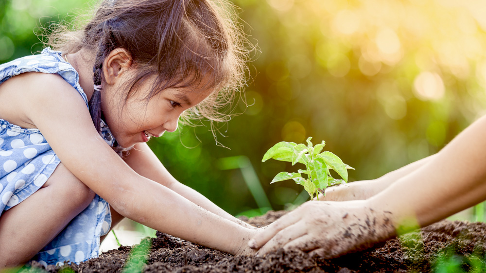 Cultivating Inner Peace: Insights from https://sourcesofhappiness.com/