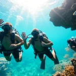 Experience vibrant coral reefs while diving with https://marvinscubaexpeditions.com for an unforgettable adventure.