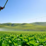Enhance land irrigation systems with efficient techniques in a vibrant farm setting.