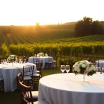 Stunning Clarksburg wedding scene with vineyard views and elegant table settings.
